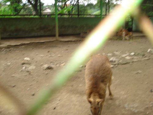 DSC03792_1